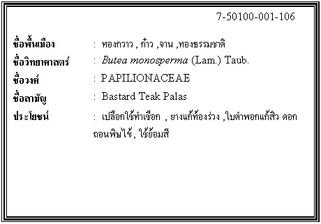 กล่องข้อความ: 7-50100-001-106 ชื่อพื้นเมือง : ทองกวาว, ก๋าว ,จาน ,ทองธรรมชาติ ชื่อวิทยาศาสตร์ : Butea monosperma (Lam.) Taub. ชื่อวงศ์ : PAPILIONACEAE ชื่อสามัญ : Bastard Teak Palas ประโยชน์ : เปลือกใช้ทำเชือก , ยางแก้ท้องร่วง ,ใบตำพอกแก้สิว ดอกถอนพิษไข้ , ใช้ย้อมสี